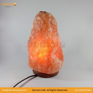 Himalayan Pink Salt Lamp