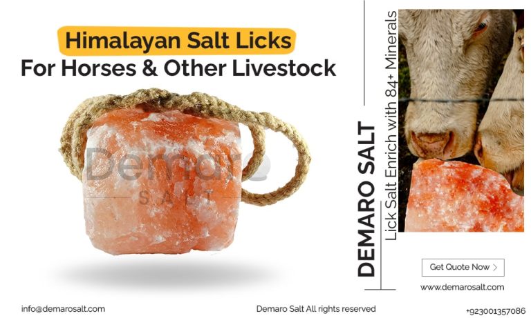 Salt Licks for Horses and Livestock