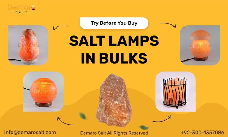 Try Before You Buy Salt Lamp in Bulk