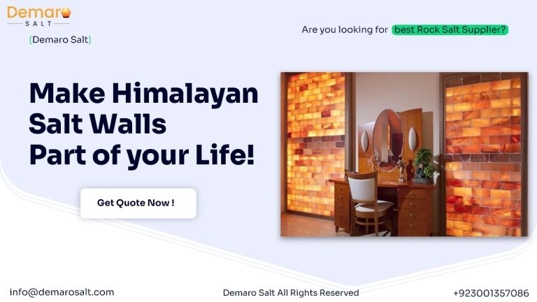 We Make Export Himalayan Salt Bricks