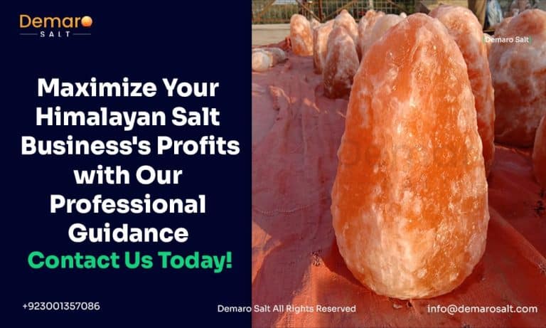 Himalayan Salt Benefits for Maximizing Himalayan Salt Business With Us