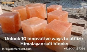 Creative Uses of Himalayan Salt Blocks - Himalayan Salt Block Cooking and Decor