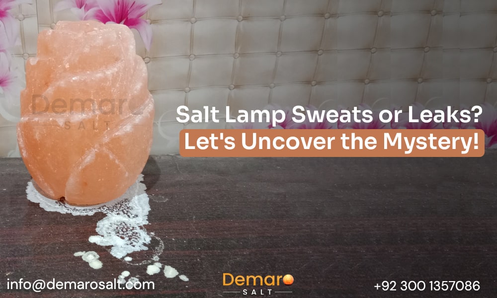 Himalayan Salt Lamp with Condensation