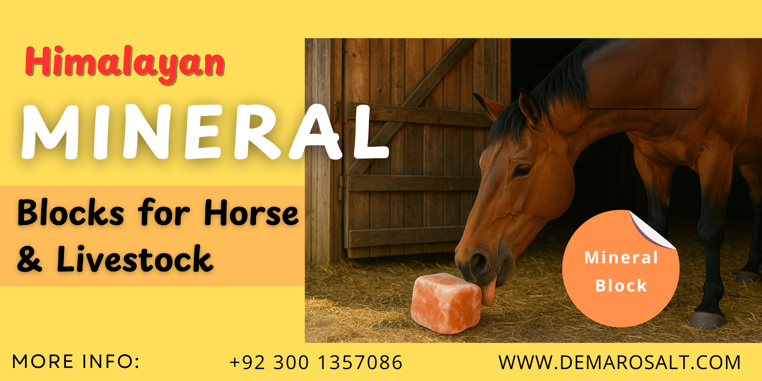 Salt Licks in Europe Horse licking a Himalayan mineral salt block on a farm field