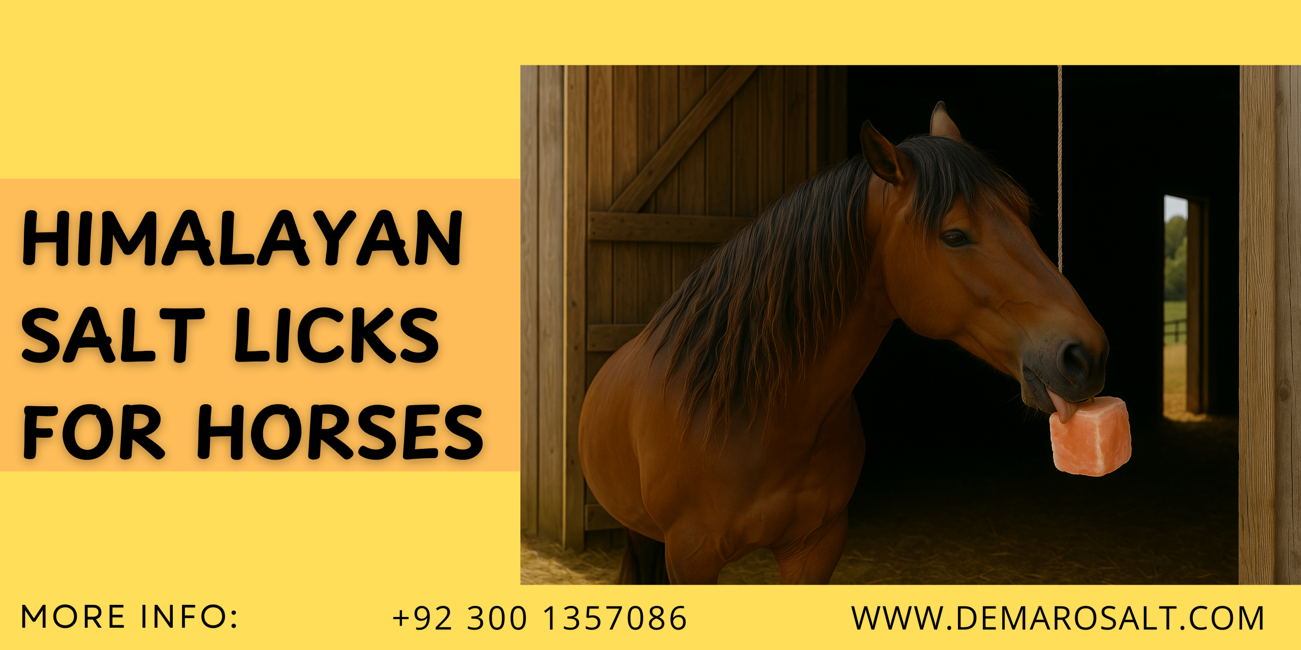 Horse licking a long-lasting Himalayan salt lick on a farm