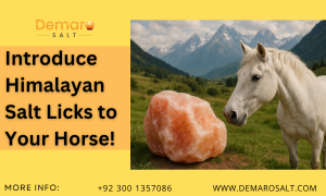 Himalayan salt licks stored safely in a sealed glass container for long-lasting use