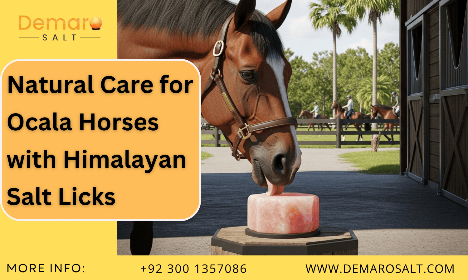 Horse licking Himalayan salt lick at Florida Horse Park in Ocala A horse at Florida Horse Park licking a natural Himalayan salt block beside a stable in Ocala, Florida.